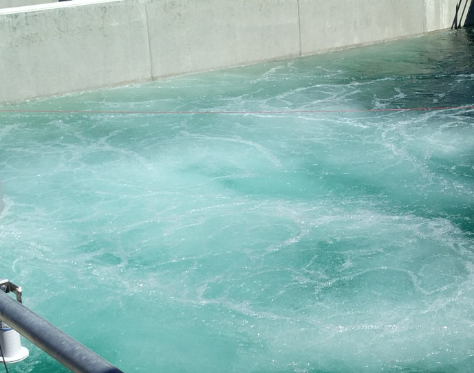 A photograph of a tank at a sewage treatment plant. The tank is filled with clear water.