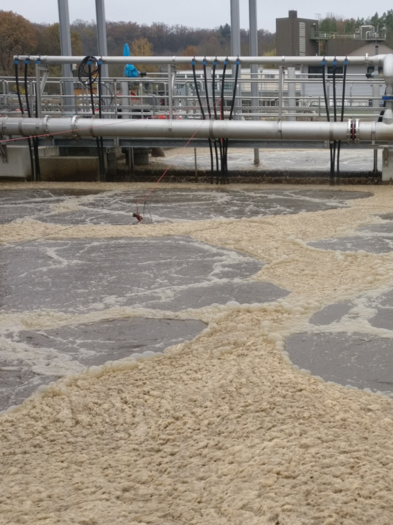 A photograph of a tank at a sewage treatment plant. The tank is filled with muddy water. Some brown foam floats on the water.